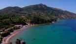 Vassilikos